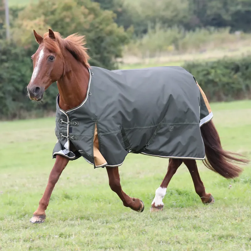 Shires Highlander Plus 50 Turnout Rug - Green